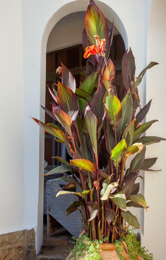 Amani Luxury Apartments Mombasa Eksteriør bilde